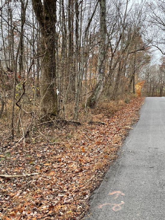 Kentucky Land Company