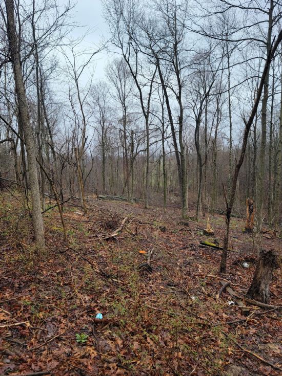 Kentucky Land Company