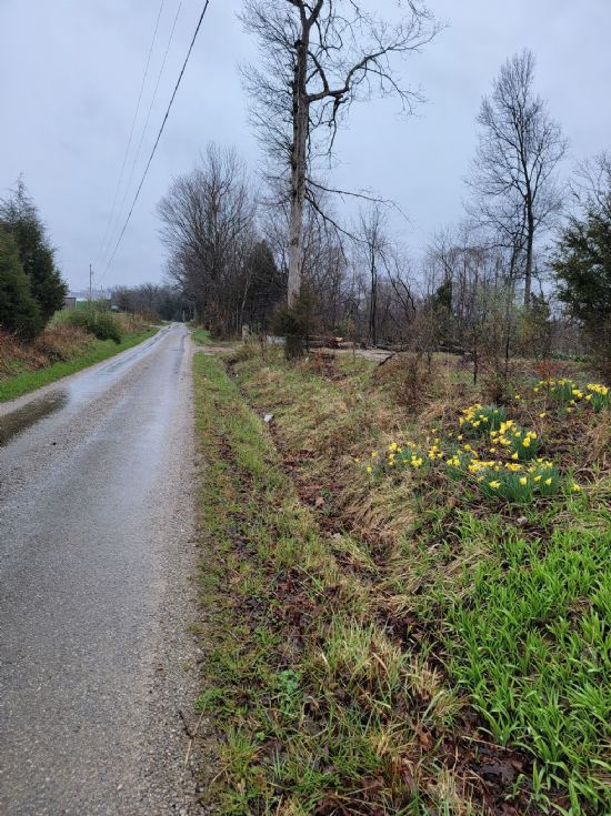 Kentucky Land Company