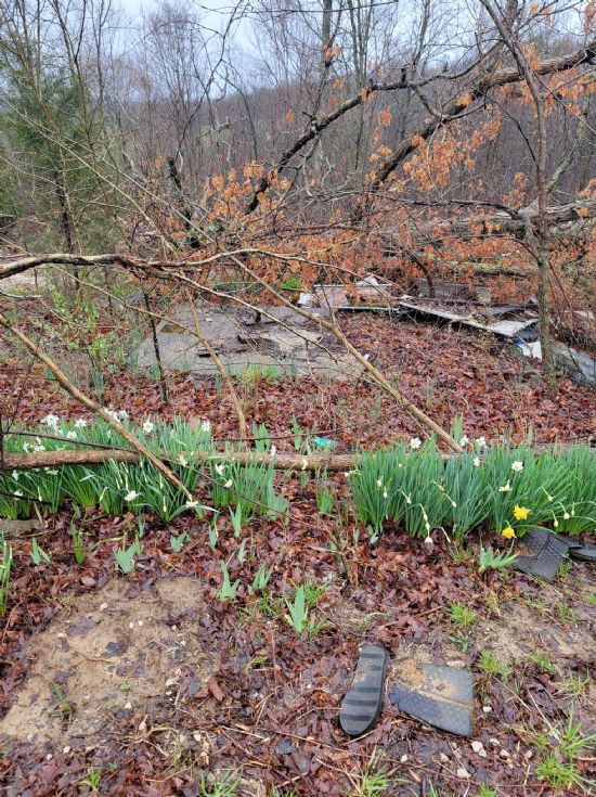 Kentucky Land Company