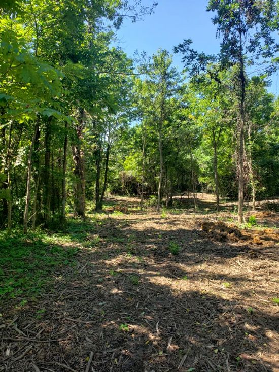 Kentucky Land Company