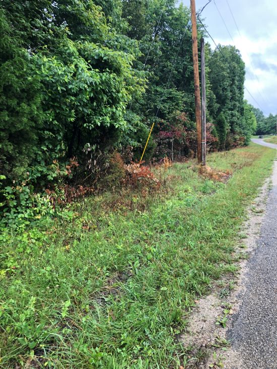 Kentucky Land Company