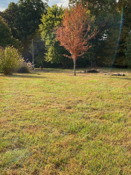 Kentucky Land Company